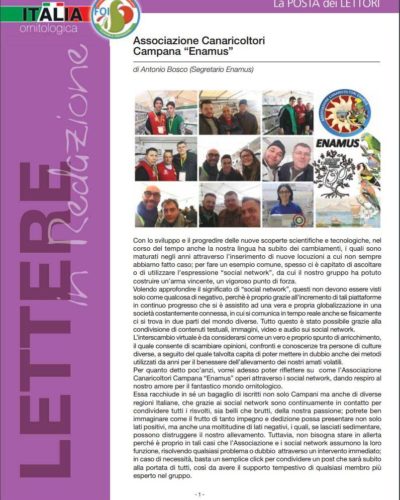 italia Ornitologica - Febbraio 2017 italia Ornitologica - Febbraio 2017