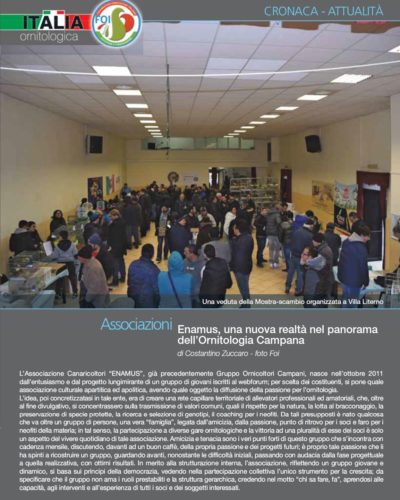 Articolo Novembre 2015 Articolo Novembre 2015