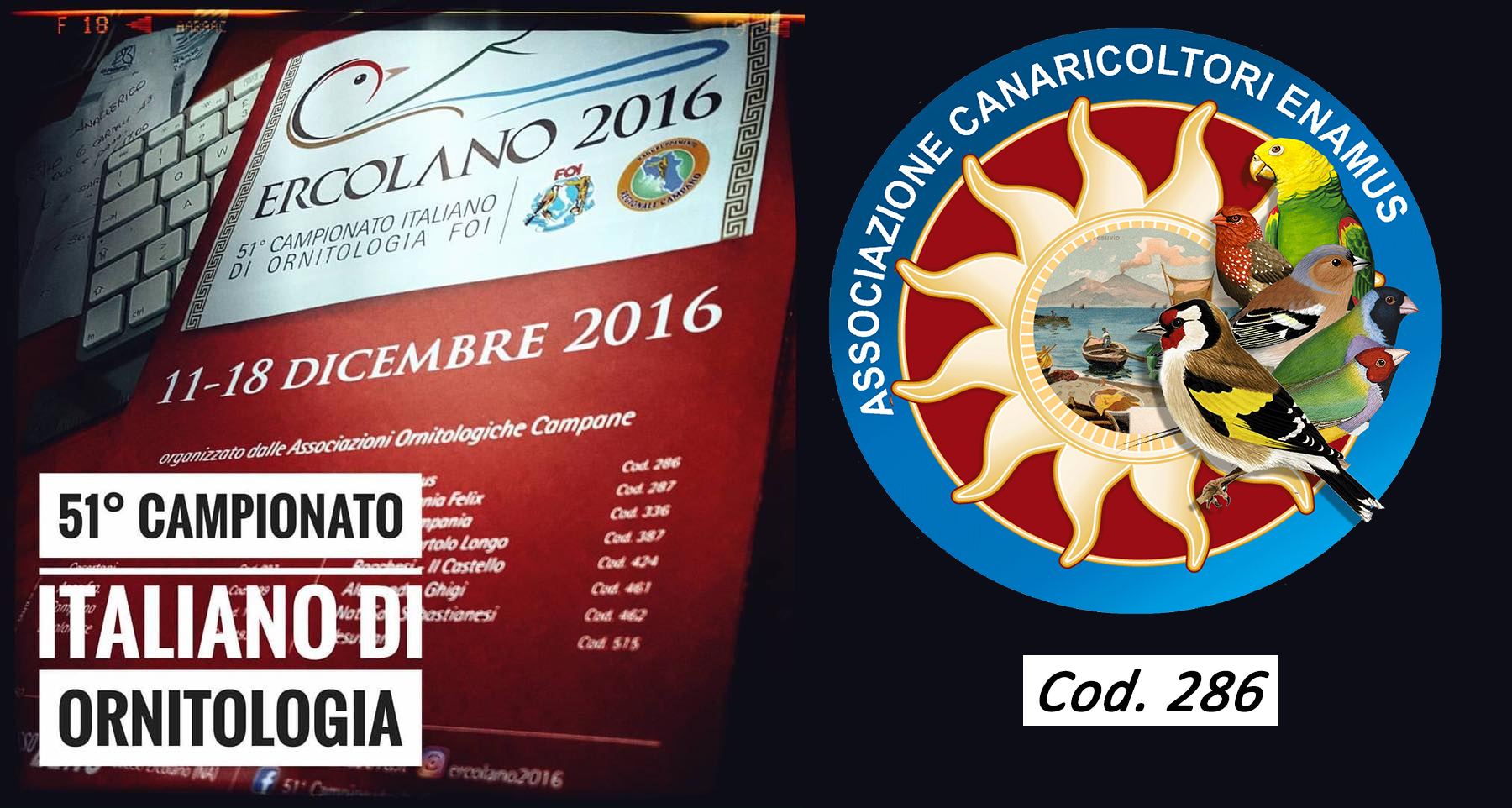 enamus-ercolano2016