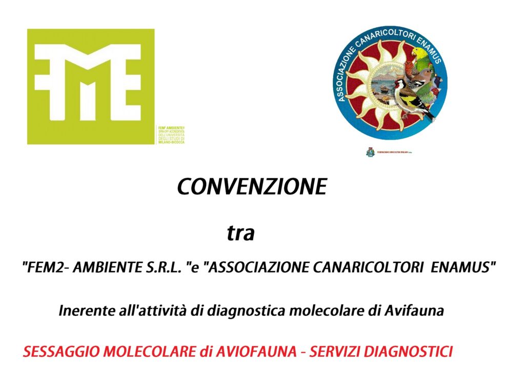 logo_fem2_400x400