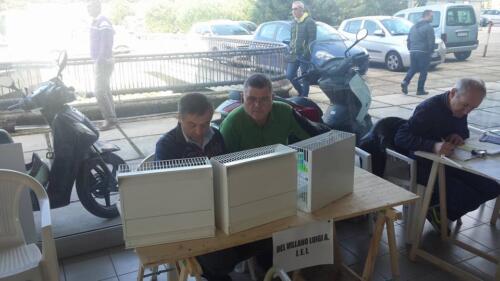 CampionatoRegionaleCasalnuovo013