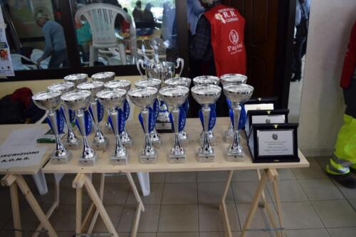 CampionatoRegionaleCasalnuovo061