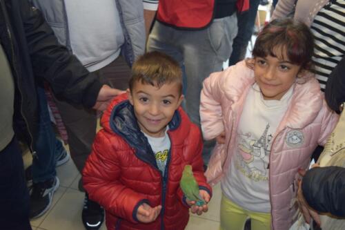 CampionatoRegionaleCasalnuovo063
