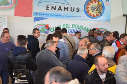 CampionatoRegionaleCasalnuovo065