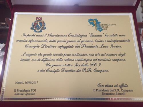CenaSocialeEnamus2017-28
