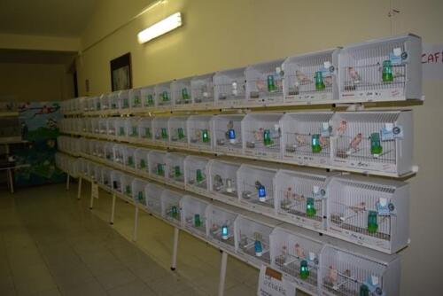 MostraDivulgativaCicciano022