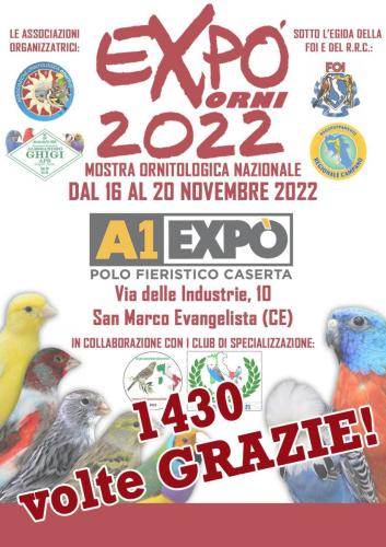 MostraOrnitologicaOrniExpo 013
