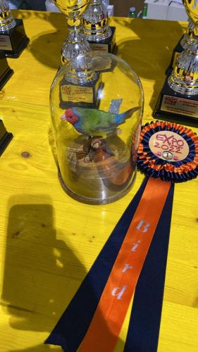 MostraOrnitologicaOrniExpo 027